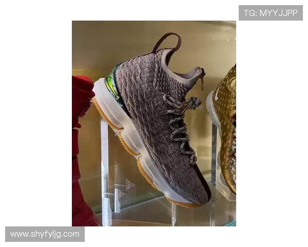 球鞋媒体曝光詹姆斯众多未发售Sample鞋款引发球迷热议